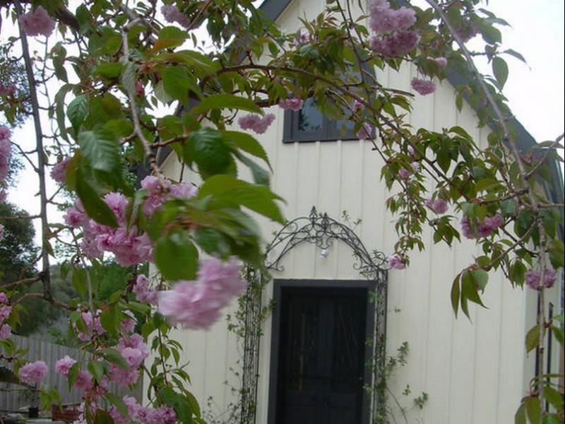 Silverleaf Cottage 라이 외부 사진